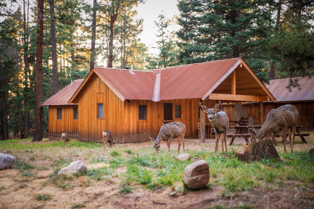 Corkins Lodge Chama Extérieur photo